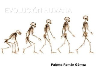 EVOLUCIÓN HUMANA Paloma Román Gómez 