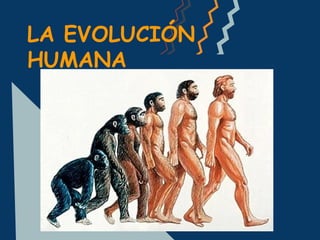 LA EVOLUCIÓN
HUMANA
 