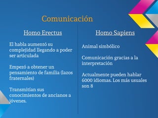 Comunicación
Homo Erectus
El habla aumentó su
complejidad llegando a poder
ser articulada
Empezó a obtener un
pensamiento de familia (lazos
fraternales)
Transmitían sus
conocimientos de ancianos a
jóvenes.
Homo Sapiens
Animal simbólico
Comunicación gracias a la
interpretación
Actualmente pueden hablar
6000 idiomas. Los más usuales
son 8
 