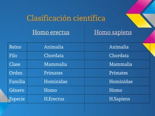 Clasificación científica
Homo erectus Homo sapiens
Reino Animalia Animalia
Filo Chordata Chordata
Clase Mammalia Mammalia
Orden Primates Primates
Familia Hominidae Hominidae
Género Homo Homo
Especie H.Erectus H.Sapiens
 