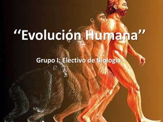 ‘‘Evolución Humana’’
Grupo I: Electivo de Biología.
 