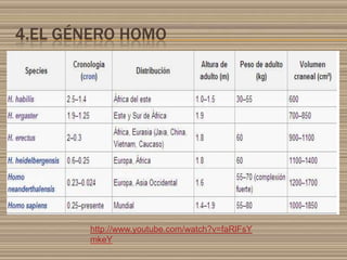 4.EL GÉNERO HOMO

http://www.youtube.com/watch?v=faRlFsY
mkeY

 