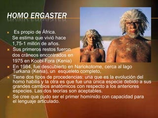 HOMO ERGASTER









Es propio de África.
Se estima que vivió hace
1,75-1 millón de años.
Sus primeros restos fueron
dos cráneos encontrados en
1975 en Koobi Fora (Kenia)
En 1984, fue descubierto en Nariokotome, cerca al lago
Turkana (Kenia), un esqueleto completo,
Tiene dos tipos de procedencias: una que es la evolución del
homo habilis y la otra es que fue una única especie debido a sus
grandes cambios anatómicos con respecto a los anteriores
especies. Las dos teorías son aceptables.
Se cree que pudo ser el primer homínido con capacidad para
el lenguaje articulado.

 