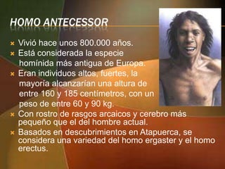 HOMO ANTECESSOR







Vivió hace unos 800.000 años.
Está considerada la especie
homínida más antigua de Europa.
Eran individuos altos, fuertes, la
mayoría alcanzarían una altura de
entre 160 y 185 centímetros, con un
peso de entre 60 y 90 kg.
Con rostro de rasgos arcaicos y cerebro más
pequeño que el del hombre actual.
Basados en descubrimientos en Atapuerca, se
considera una variedad del homo ergaster y el homo
erectus.

 