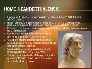 HOMO NEANDERTHALENSIS









Habitó en Europa y partes de Asia occidental hace 230 000 hasta
28 000 años .
En un periodo de aproximadamente 5000 años se cree convivió
paralelamente con los primeros hombres modernos en Europa.
Esta convivencia se ha demostrado por fósiles hallados en las cuevas
de Châtelperron.
Los huesos fósiles descubiertos hasta
ahora son de unos 400 individuos.
Vivían en grupos sociales organizados,
formados por unos 30 miembros,casi todos
con parentesco (clanes).
Dominaban el fuego y podían fabricar
herramientas huesos y piedras.
Tenían nariz amplia de aletas prominentes
que denota que fueron una especie bien
adaptada al frío extremo.

 