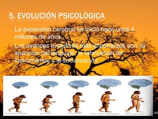5. EVOLUCIÓN PSICOLÓGICA




La expansión cerebral se inició hace unos 4
millones de años.
Los avances evolutivos más importantes son: la
aparición del lenguaje, la fabricación de
instrumentos y la socialización.

 