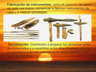 

Fabricación de instrumentos: como el consumo de carne
es cada vez mayor, comienzan a fabricar instrumentos de
caza y a realizar estrategias.



Socialización: Comienzan a preparar los alimentos antes
de consumirlos y a repartirlos entre ellos. Empieza a surgir
el parentesco y se van estableciendo lazos afectivos cada
vez más intensos.

 