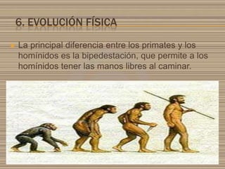 6. EVOLUCIÓN FÍSICA


La principal diferencia entre los primates y los
homínidos es la bipedestación, que permite a los
homínidos tener las manos libres al caminar.

 