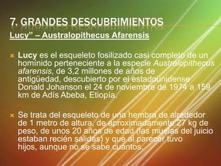 7. GRANDES DESCUBRIMIENTOS
Lucy” – Australopithecus Afarensis


Lucy es el esqueleto fosilizado casi completo de un
homínido perteneciente a la especie Australopithecus
afarensis, de 3,2 millones de años de
antigüedad, descubierto por el estadounidense
Donald Johanson el 24 de noviembre de 1974 a 159
km de Adís Abeba, Etiopía.



Se trata del esqueleto de una hembra de alrededor
de 1 metro de altura, de aproximadamente 27 kg de
peso, de unos 20 años de edad (las muelas del juicio
estaban recién salidas) y que al parecer tuvo
hijos, aunque no se sabe cuántos.

 