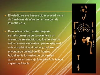 

El estudio de sus huesos dio una edad inicial
de 3 millones de años con un margen de
200 000 años.



En el mismo sitio, un año después,
se hallaron restos pertenecientes a un
mínimo de seis individuos, dos de ellos de
niños de unos cinco años, pero el esqueleto
más completo fue el de Lucy, de quien se
encontraron un total de 52 huesos.
Actualmente los restos de Lucy están
guardados en una caja fuerte en Adís Abeba,
capital de Etiopía.

 