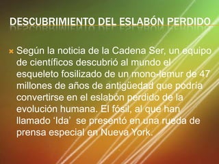 DESCUBRIMIENTO DEL ESLABÓN PERDIDO


Según la noticia de la Cadena Ser, un equipo
de científicos descubrió al mundo el
esqueleto fosilizado de un mono-lemur de 47
millones de años de antigüedad que podría
convertirse en el eslabón perdido de la
evolución humana. El fósil, al que han
llamado „Ida‟ se presentó en una rueda de
prensa especial en Nueva York.

 