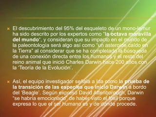 

El descubrimiento del 95% del esqueleto de un mono-lemur
ha sido descrito por los expertos como “la octava maravilla
del mundo“, y consideran que su impacto en el mundo de
la paleontología será algo así como “un asteroide caído en
la Tierra” al considerar que se ha completado la búsqueda
de una conexión directa entre los humanos y el resto del
reino animal que inició Charles Darwin hace 200 años con
la „Teoría de la Evolución‟.



Así, el equipo investigador señala a Ida como la prueba de
la transición de las especies que inició Darwin a bordo
del „Beagle‟. Según expresó David Attenborough, Darwin
“se habría emocionado” de haber visto el fósil porque
expresa lo que el ser humano es y de dónde procede.

 