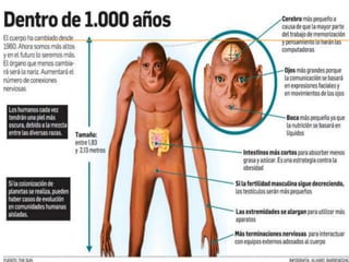 Evolución humana 
