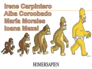 Evolución humana 