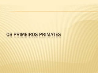 OS PRIMEIROS PRIMATES
 