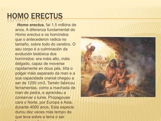 HOMO ERECTUS
Homo erectus, fai 1.5 millóns de
anos. A diferenza fundamental do
Homo erectus e os homínidos
que o antecederon radica no
tamaño, sobre todo do cerebro. O
seu corpo é a culminación da
evolución biolóxica dos
homínidos: era máis alto, máis
delgado, capaz de moverse
rapidamente en dous pés, tiña o
polgar máis separado da man e a
súa capacidade cranial chegou a
ser de 1250 cm3. Tamén fabricou
ferramentas, como a machada de
man de pedra, e aprendeu a
conservar o lume. Propagouse
cara o Norte, por Europa e Asia,
durante 4000 anos. Esta especie
durou dez veces más tempo da
que leva sobre a terra o ser
 