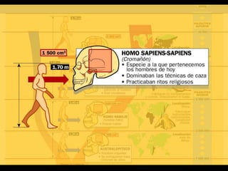 Evolución humanapptanimacion