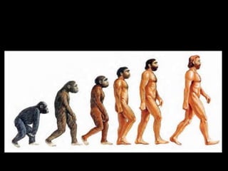 Evolución del Hombre.
 