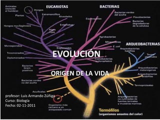 EVOLUCIÓN I
                          ORIGEN DE LA VIDA


profesor: Luis Armando Zúñiga
Curso: Biología
Fecha: 02-11-2011
 