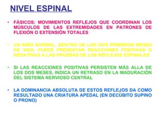 NIVEL ESPINAL FÁSICOS: MOVIMIENTOS REFLEJOS QUE COORDINAN LOS MÚSCULOS DE LAS EXTREMIDADES EN PATRONES DE FLEXIÓN O EXTENSIÓN TOTALES UN NIÑO NORMAL, DENTRO DE LOS DOS PRIMEROS MESES DE VIDA, PUEDE PRESENTAR REACCIONES POSITIVAS O NEGATIVAS A LAS PRUEBAS DE LOS REFLEJOS ESPINALES SI LAS REACCIONES POSITIVAS PERSISTEN MÁS ALLA DE LOS DOS MESES, INDICA UN RETRASO EN LA MADURACIÓN DEL SISTEMA NERVIOSO CENTRAL LA DOMINANCIA ABSOLUTA DE ESTOS REFLEJOS DA COMO RESULTADO UNA CRIATURA APEDAL (EN DECÚBITO SUPINO O PRONO) 