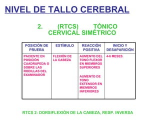 NIVEL DE TALLO CEREBRAL 2. (RTCS) TÓNICO CERVICAL SIMÉTRICO RTCS 2: DORSIFLEXIÓN DE LA CABEZA, RESP. INVERSA POSICIÓN DE PRUEBA ESTÍMULO REACCIÓN POSITIVA INICIO Y DESAPARICIÓN PACIENTE EN POSICIÓN CUADRUPEDA O SOBRE LAS RODILLAS DEL EXAMINADOR FLEXIÓN DE LA CABEZA AUMENTO DEL TONO FLEXOR EN MIEMBROS SUPERIORES AUMENTO DE TONO EXTENSOR EN MIEMBROS INFERIORES 4-6 MESES 