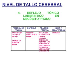 NIVEL DE TALLO CEREBRAL 4. REFLEJO TÓNICO LABERINTICO EN DECÚBITO PRONO POSICIÓN DE PRUEBA ESTÍMULO REACCIÓN POSITIVA INICIO Y DESAPARICIÓN PACIENTE EN DECÚBITO PRONO CABEZA EN POSICIÓN MEDIA POSICIÓN PRONA POR SÍ MISMA INCAPAZ DE FLEXIONAR LA CABEZA HACIA EL TRONCO, NI RETRAER LOS HOMBROS, NI DE EXTENDER EL TRONCO, LOS BRAZOS Y LAS PIERNAS 0-4 MESES 