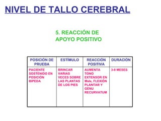 NIVEL DE TALLO CEREBRAL 5. REACCIÓN DE  APOYO POSITIVO POSICIÓN DE PRUEBA ESTÍMULO REACCIÓN POSITIVA DURACIÓN PACIENTE SOSTENIDO EN POSICIÓN BIPEDA BRINCAR VARIAS VECES SOBRE LAS PLANTAS DE LOS PIES AUMENTA TONO EXTENSOR EN MsIs, FLEXIÓN PLANTAR Y GENU RECURVATUM 3-8 MESES 