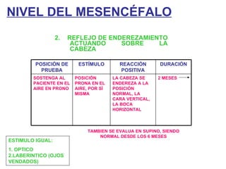NIVEL DEL MESENCÉFALO 2.  REFLEJO DE ENDEREZAMIENTO ACTUANDO SOBRE LA CABEZA ESTIMULO IGUAL: 1. OPTICO 2.LABERINTICO (OJOS VENDADOS) TAMBIEN SE EVALUA EN SUPINO, SIENDO NORMAL DESDE LOS 6 MESES POSICIÓN DE PRUEBA ESTÍMULO REACCIÓN POSITIVA DURACIÓN SOSTENGA AL PACIENTE EN EL AIRE EN PRONO POSICIÓN PRONA EN EL AIRE, POR SÍ MISMA LA CABEZA SE ENDEREZA A LA POSICIÓN NORMAL, LA CARA VERTICAL, LA BOCA HORIZONTAL 2 MESES 