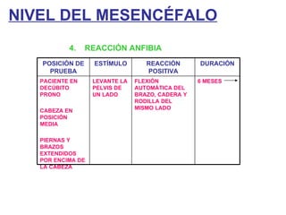NIVEL DEL MESENCÉFALO 4.  REACCIÓN ANFIBIA POSICIÓN DE PRUEBA ESTÍMULO REACCIÓN POSITIVA DURACIÓN PACIENTE EN DECÚBITO PRONO CABEZA EN POSICIÓN MEDIA PIERNAS Y BRAZOS EXTENDIDOS POR ENCIMA DE LA CABEZA LEVANTE LA PELVIS DE UN LADO FLEXIÓN AUTOMÁTICA DEL BRAZO, CADERA Y RODILLA DEL MISMO LADO 6 MESES 