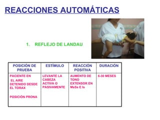 1.  REFLEJO DE LANDAU REACCIONES AUTOMÁTICAS POSICIÓN DE PRUEBA ESTÍMULO REACCIÓN POSITIVA DURACIÓN PACIENTE EN EL AIRE DETENIDO DESDE EL TORAX POSICIÓN PRONA LEVANTE LA CABEZA ACTIVA O PASIVAMENTE AUMENTO DE TONO EXTENSOR EN MsSs E Is 6-30 MESES 