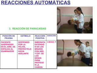 3.  REACCIÓN DE PARACAÍDAS   REACCIONES AUTOMÁTICAS POSICIÓN DE PRUEBA ESTÍMULO REACCIÓN POSITIVA DURACIÓN PACIENTE SUSPENDIDO EN EL AIRE, DE ESPALDA AL EXAMINADOR SOSTENIDO POR LA PELVIS, PROYECTELO HACIA ADELANTE INMEDIATA EXTENSIÓN DE LOS BRAZOS CON ABD. Y EXT. DE LOS DEDOS PARA PROTEGER LA CABEZA 6 MESES 