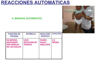 5. MARCHA AUTOMÁTICA REACCIONES AUTOMÁTICAS POSICIÓN DE PRUEBA ESTÍMULO REACCIÓN POSITIVA DURACIÓN EN BIPEDO, SOSTENIDO POR DEBAJO DE LAS AXILAS LEVE ROTACIÓN DE TRONCO PASOS HACIA ADELANTE 0-2 MESES 