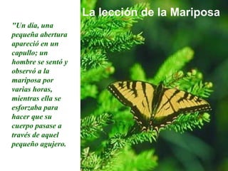 La lección de la Mariposa "Un día, una pequeña abertura apareció en un capullo; un hombre se sentó y observó a la mariposa por varias horas, mientras ella se esforzaba para hacer que su cuerpo pasase a través de aquel pequeño agujero. 