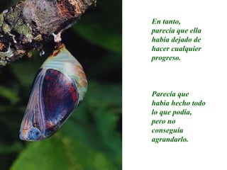 En tanto,  parecía que ella había dejado de hacer cualquier progreso. Parecía que había hecho todo lo que podía, pero no conseguía agrandarlo. 