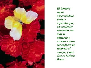 El hombre siguó observándola porque esperaba que, en cualquier momento, las alas se abrieran y estirasen para ser capaces de soportar el cuerpo, y que éste se hiciera firme. 