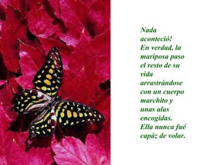 Nada aconteció! En verdad, la mariposa paso el resto de su vida arrastrándose con un cuerpo marchito y unas alas encogidas. Ella nunca fué capáz de volar.   