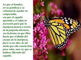 Lo que el hombre, en su gentileza y su voluntad de ayudar no comprendía,  era que el capullo apretado y el esfuerzo necesario para que la mariposa pasara a través de la pequeña abertura, era la forma en que Dios hacía que el fluído del cuerpo de la mariposa, fuese a sus alas, de tal modo que ella estaría lista para volar, una vez que se hubiese liberado del capullo. 