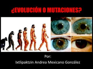 ¿EVOLUCIÓN O MUTACIONES?




                   Por:
 Ixtlipaktzin Andrea Mexicano González
 