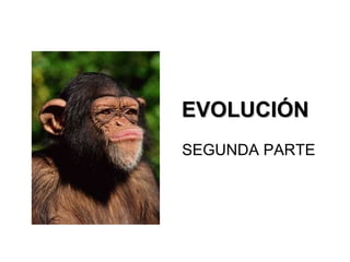 EVOLUCIÓN SEGUNDA PARTE 