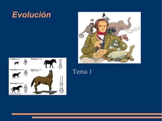 Evolución
Tema 1
 