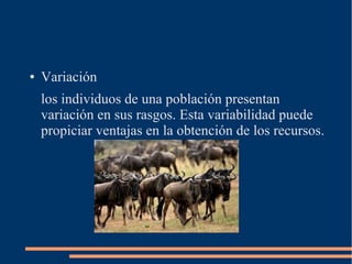 ● Variación
los individuos de una población presentan
variación en sus rasgos. Esta variabilidad puede
propiciar ventajas ...