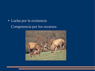 ● Lucha por la existencia
Competencia por los recursos
 