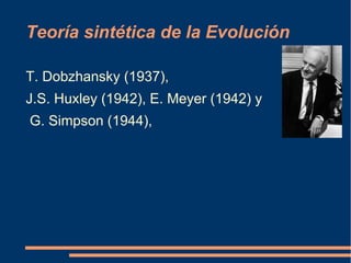 Teoría sintética de la Evolución
T. Dobzhansky (1937),
J.S. Huxley (1942), E. Meyer (1942) y
G. Simpson (1944),
 