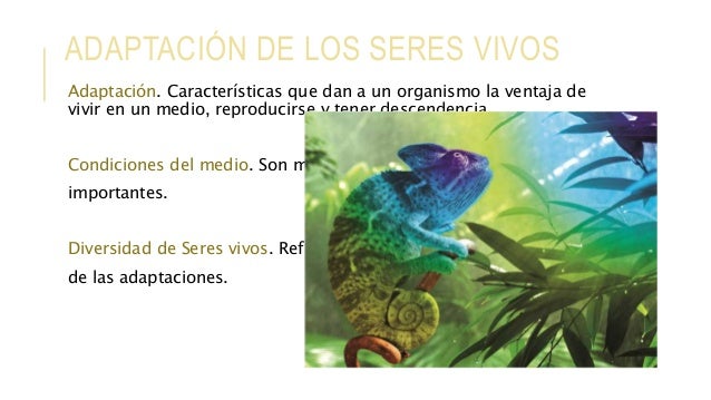 Evolución y Adaptación de los Seres Vivos