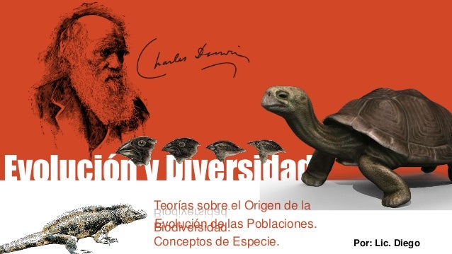 Evolución y diversidad