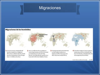 Migraciones
 