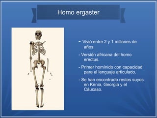 Homo ergaster
- Vivió entre 2 y 1 millones de
años.
- Versión africana del homo
erectus.
- Primer homínido con capacidad
para el lenguaje articulado.
- Se han encontrado restos suyos
en Kenia, Georgia y el
Cáucaso.
 