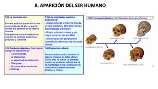Evolución y origen de la vida | PDF