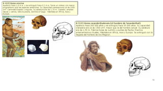 Evolución y origen de la vida | PDF