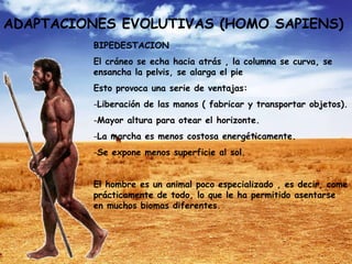 Evolucio espècies